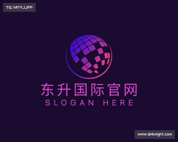 关于东升国际官网